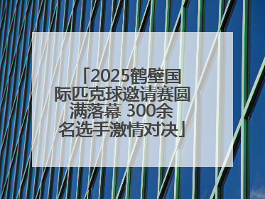 2025鹤壁国际匹克球邀请赛圆满落幕 300余名选手激情对决